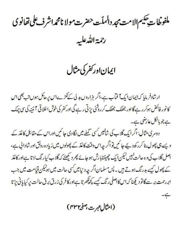 ایمان اور کفر کی مثال
