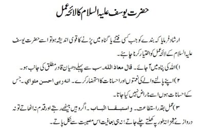 حضرت یوسف علیہ السلام کا لائحہ عمل