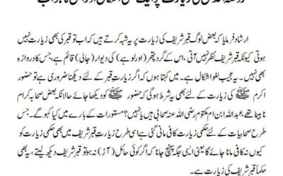 روضہ اقدس کی زیارت پر ایک سطحی اشکال اور اس کا جواب