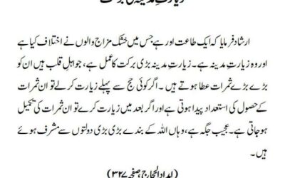 زیارتِ مدینہ کی برکت