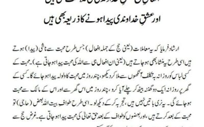 افعالِ حج عشقِ خداوندی کی علامت بھی ہیں اور عشقِ خداوندی پیدا ہونے کا ذریعہ بھی ہیں