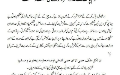 حرم پاک کے حدود مقر رکرنے کی حکمت و مصلحت