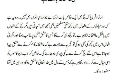 حج عاشقانہ عبادت ہے