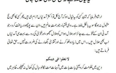 یہ خیال غلط ہے کہ آج کل حلال آمدنی کہاں