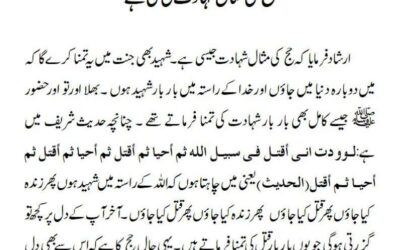 حج کی مثال شہادت کی سی ہے