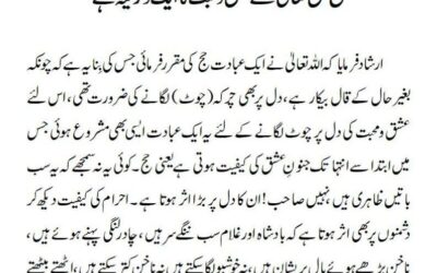 حج حق تعالیٰ سے عشق و محبت کا ایک ذریعہ ہے