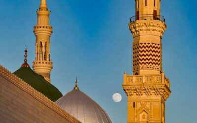 خلیفہ مجاز بھی حدودوقیود کے پابند ہوتے ہیں (324)۔