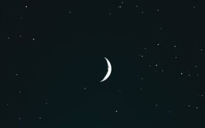 اپنے قیمتی ہیرے کی حفاظت خود کریں (186)۔