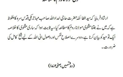 مثنوی مولانا روم ؒ کا خلاصہ