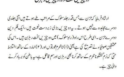 دو چیزیں نعمت اور دو چیزیں رہزن