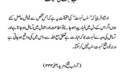 سلب ِ نسبت کی حقیقت