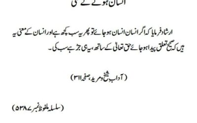 انسان ہونے کے معنی