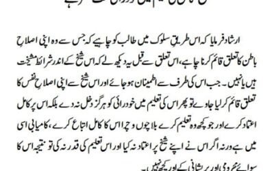 شیخ کامل کی تعلیم میں خود رائی سخت مضر ہے