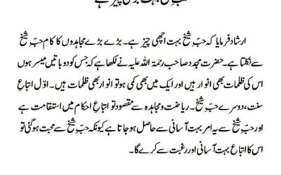 حبّ ِ شیخ بہت بڑی چیز ہے