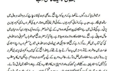 صحبت ِ شیخ کا ایک خاص ادب