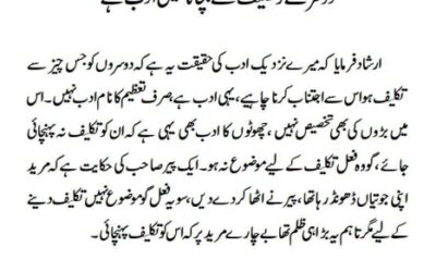 دوسرے کو تکلیف سے بچانا حقیقی ادب ہے