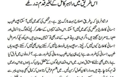 اس طریق میں راہبر کامل کے بغیر قدم نہ رکھے