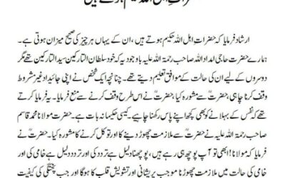 حضراتِ اہل اللہ حکیم ہوتے ہیں