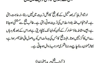 تکمیل کے بعد شیخ کا دخل تربیت میں نہیں