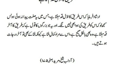 طریق کا اوّل قدم فنا ہے