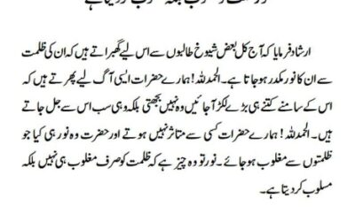 نور ظلمت کو مغلوب بلکہ مسلوب کر دیتا ہے