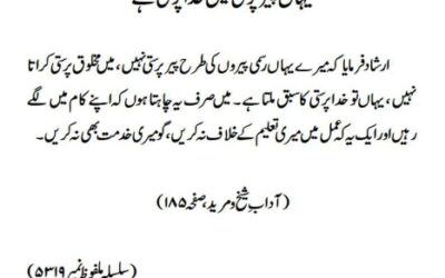 یہاں پیر پرستی نہیں خدا پرستی ہے