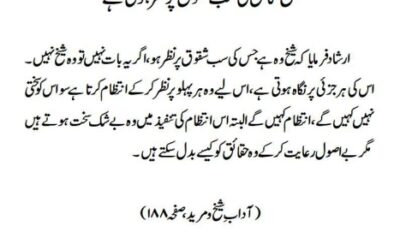 شیخ کامل کی سب شقوں پر نظر ہوتی ہے