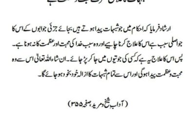 شبہات کا علاج صرف محبت و عظمت ہے