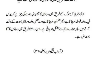 سلوک کے طریق میں وساوس کا آنا بڑی نعمت ہے