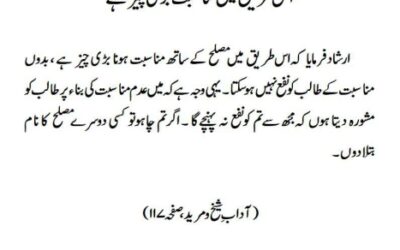 اس طریق میں مناسبت بڑی چیز ہے