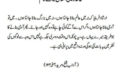 خانقاہ میں انسان بنانے کام