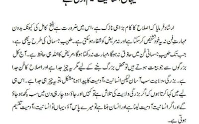 یہاں انسانیت تقسیم ہوتی ہے