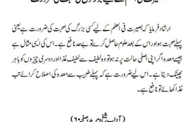 بصیرت فی العلم کے لیے بزرگوں کی صحبت کی ضرورت