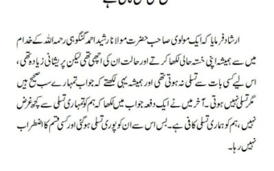 شیخ کی تسلی کافی ہے