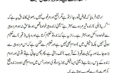 استفادہ کے لیے زندہ بزرگ کی صحبت