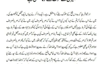 بغیر شیخ کے سلوک طے کرنا مشکل ہے