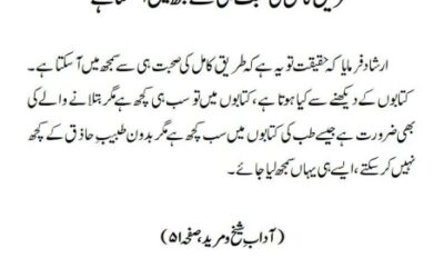 طریق کامل کی صحبت ہی سے سمجھ میں آسکتا ہے