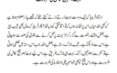 بہت مبصر شیخ کامل کی ضرورت