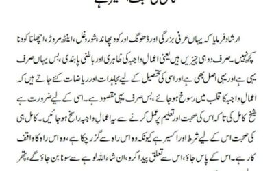 کامل کی صحبت اکسیر ہے