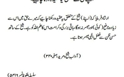 اپنے شیخ کے متعلق کیا عقیدہ ہونا چاہیے؟