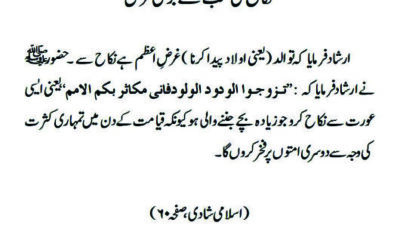 نکاح کی سب سے بڑی غرض