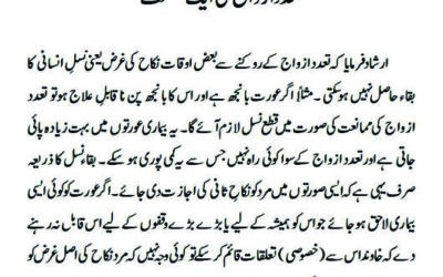 تعدد ازواج کی ایک مصلحت