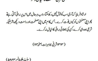 بس شرعی مصلحت کا خیال رکھو