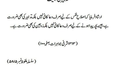 تدبیر کی اہمیت