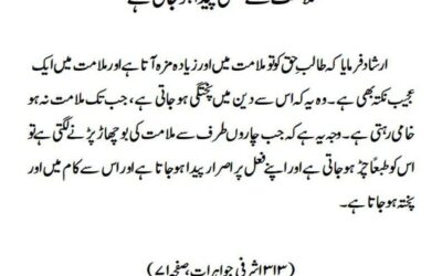 ملامت سے پختگی پیدا ہوجاتی ہے