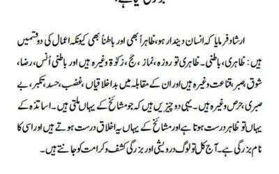 بزرگی کیا ہے؟