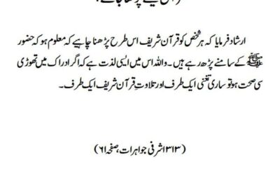 قرآن کیسے پڑھا جائے؟