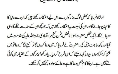 بزرگ دعا ہی کر سکتے ہیں